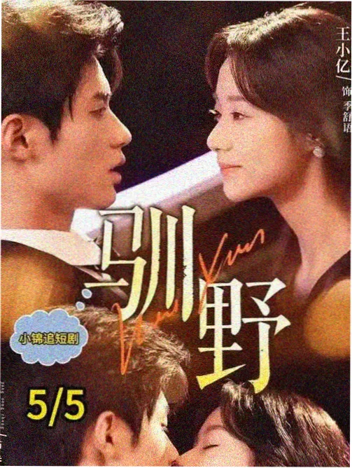 天网追凶